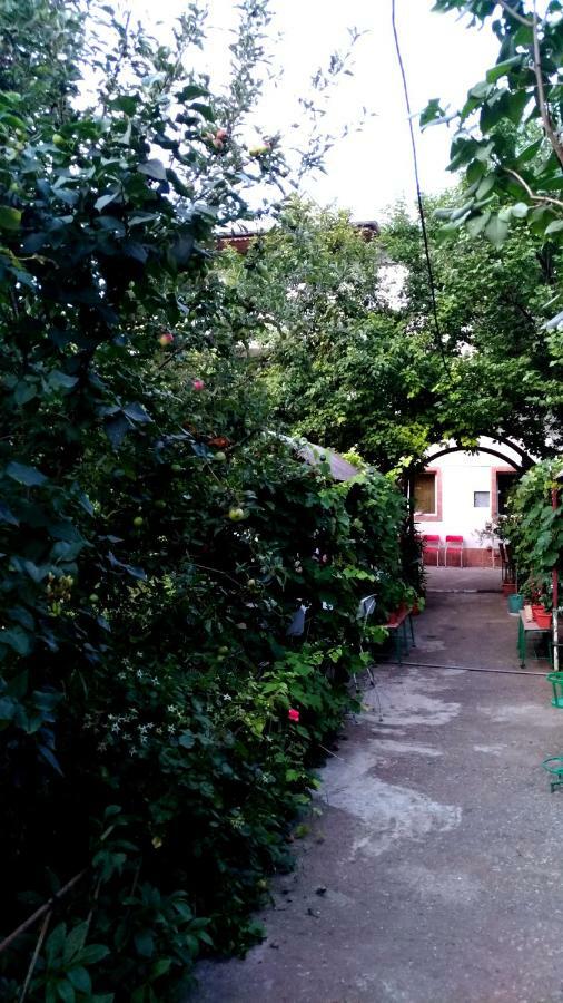 Вилла Casa Din Gradina Эфорие-Суд Экстерьер фото
